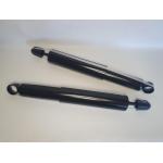 Амортизаторы задние Тагаз Роад Партнер