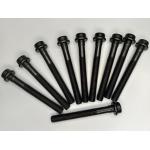 Болты ГБЦ Тагаз Тагер